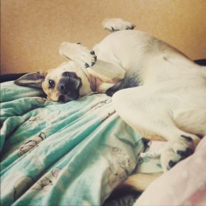 IMG_20160524_223915-1-300x300