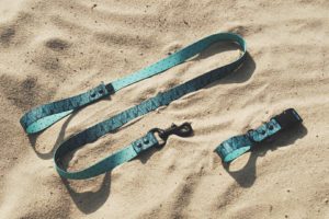 14102526_1578077105827977_4083064305564433404_n-300x200