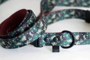 14568179_1595758137393207_1218891795388227754_n-300x200