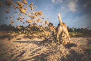 Darlowo-z-psem-blog-psi-prawieowczarkowelove44-300x200