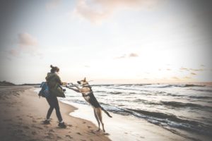 Darlowo-z-psem-blog-psi-prawieowczarkowelove53-300x200