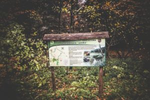 Rezerwat-z-psem-blog-psi-prawieowczarkowelove01-300x200