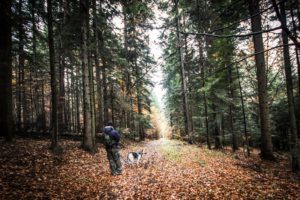 Rezerwat-z-psem-blog-psi-prawieowczarkowelove20-300x200