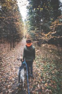 Rezerwat-z-psem-blog-psi-prawieowczarkowelove22-200x300