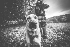 Rezerwat-z-psem-blog-psi-prawieowczarkowelove24-300x200