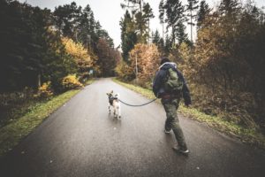 Rezerwat-z-psem-blog-psi-prawieowczarkowelove29-300x200