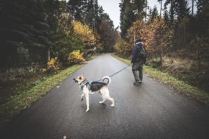 Rezerwat-z-psem-blog-psi-prawieowczarkowelove30-300x200