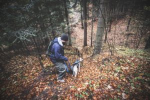 Rezerwat-z-psem-blog-psi-prawieowczarkowelove32-300x200