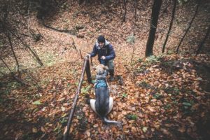 Rezerwat-z-psem-blog-psi-prawieowczarkowelove34-300x200