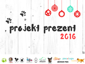 projekt-prezent_b-300x225