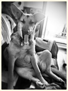 11056075_465688413604825_4780142408368006121_n-225x300