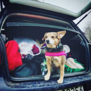 15032897_1201323833244086_4437744714892640257_n-300x300