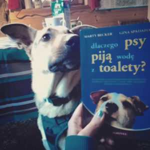 IMG_20161111_143944-300x300