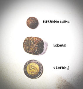 16388315_1289390974437371_7572253183107103889_n-282x300