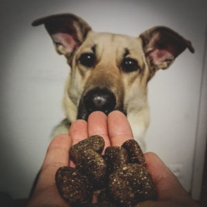 IMG_20170207_195906-300x300