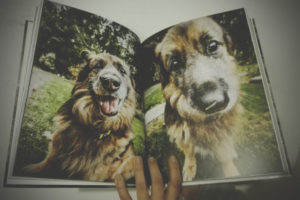 IMG_20170212_222107-300x200