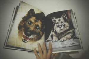 IMG_20170212_222138-300x200