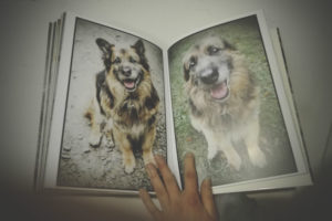 IMG_20170212_222154-300x200