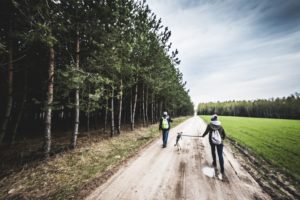 husinka-chatka-swieta-urlop-blog-psach-05-300x200