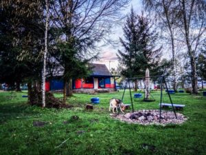 husinka-chatka-swieta-urlop-blog-psach-16-1-300x225