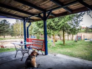husinka-chatka-swieta-urlop-blog-psach-20-300x225