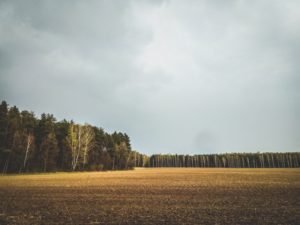 husinka-chatka-swieta-urlop-blog-psach-26-300x225