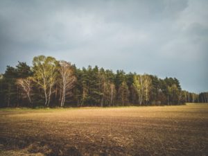 husinka-chatka-swieta-urlop-blog-psach-27-300x225