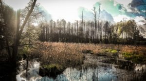 husinka-chatka-swieta-urlop-blog-psach-37-300x168