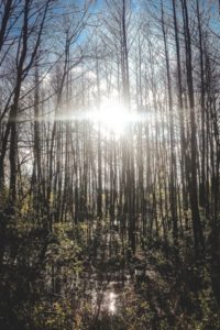 husinka-chatka-swieta-urlop-blog-psach-39-200x300